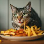 Eine Katze auf Diät: Tipps & Empfehlungen