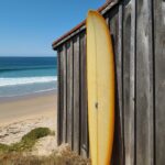 Surfboard: Die Kunst des Wellenreitens