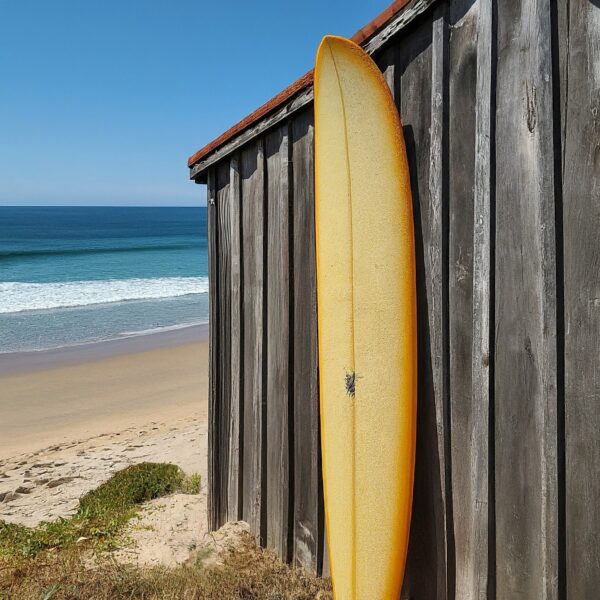 Surfboard: Die Kunst des Wellenreitens