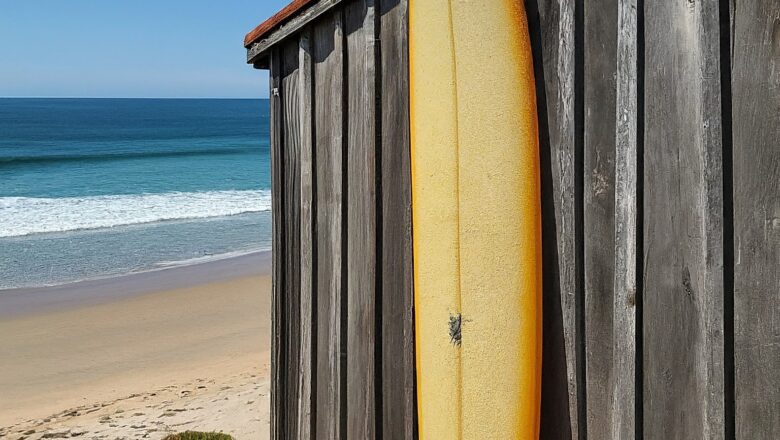 Surfboard: Die Kunst des Wellenreitens